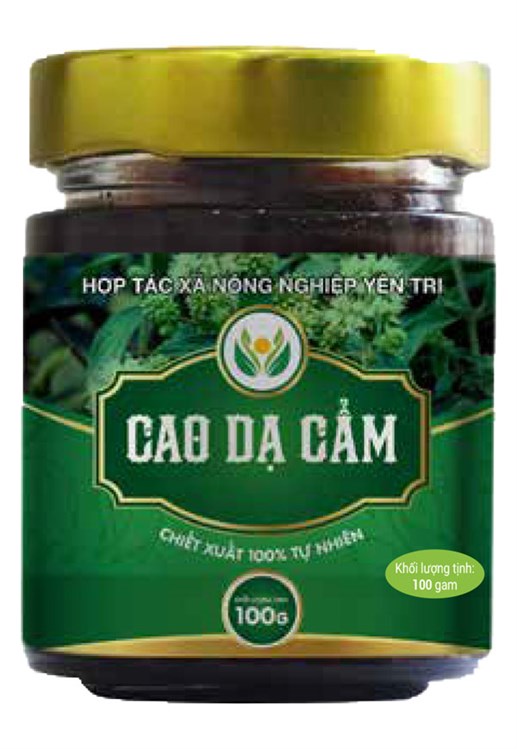 Cao Dạ Cẩm